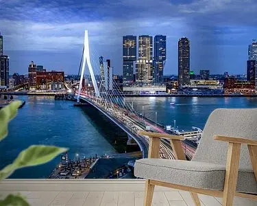 Skyline Rotterdam by Night- Rotterdams Finest !Kleur Autentyczny