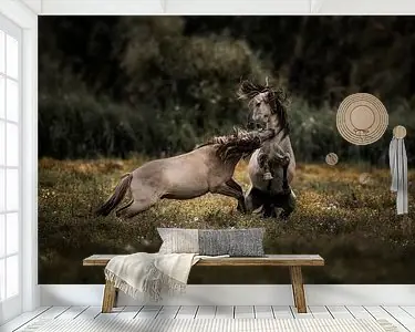 Promocja Paarden in Botsing Oerkracht op het Veld