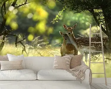 Kup teraz Damhert (Dama dama) hinde met kalf in het bos