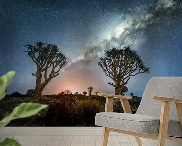 Quivertree melkweg Szybka dostawa