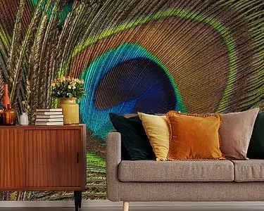 Kup teraz Natuurlijke elegantie: Vierkantje met een kleurrijke pauwenveer