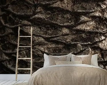 Palmboomschors Textuur Natuurlijke Patronen in Detail Rabat