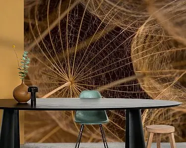 Kup teraz Landelijke natuurlijke eenvoud: De lijnen van een Tragopogon