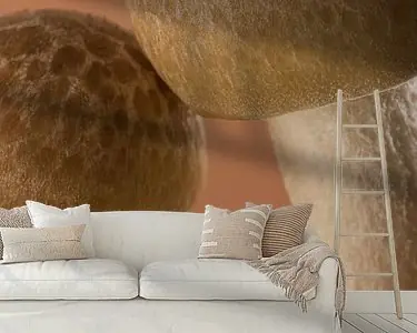 Mocha Mousse Mushrooms: Samen met z'n tweeën Zwrot pieniędzy