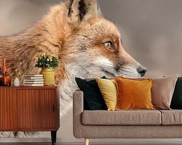 Intiem profielportret van een rode vos Ostatnia szansa