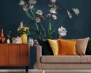 Stilleven met Astrantia Zeeuws knoopje Wysoka jakość