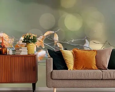 Darmowa dostawa IJsvogel