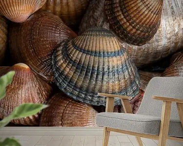 Niska cena Schelpen bruin, beige en zandkleurig na een golf water