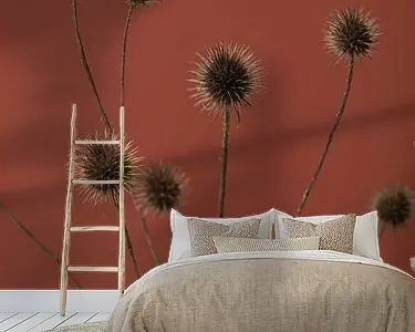 Distel roest rood 01 Premium