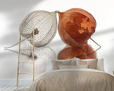 Samen tot we vergaan: Twee lampionnetjes samen Oferta