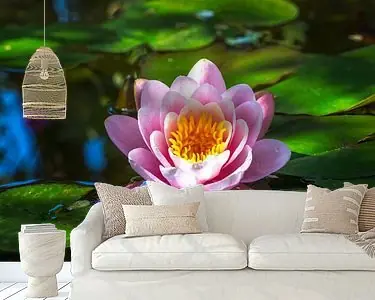 Waterlelie bloei in de tuinvijver Premium