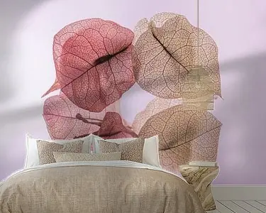 Rustgevende pastelkleuren: De dansende blaadjes van de Bougainvillea Zwrot pieniędzy