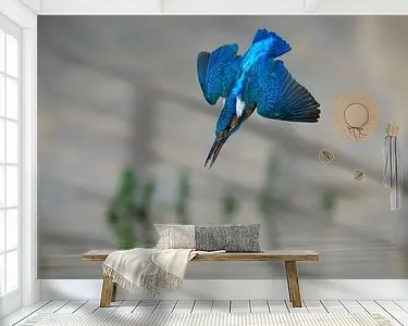 Oferta limitowana IJsvogel - In een flits