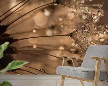 Panorama van een gouden paardenbloem Tylko dziś