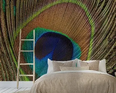 Pauwenveer bovenop stapel pauwenveren verticaal Niska cena