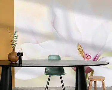 Zuiverheid Ekspresowa dostawa