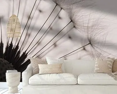 Darmowa dostawa De pluisjes van een paardenbloem met tegenlicht