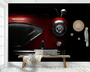 1954 Austin Healey 100 M Szybka dostawa