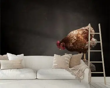 De kip en het ei - Serie - 2\\/3 Promocja