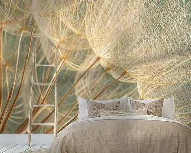 Rabat Vierkantje met pluisjes van een Morgenster (Tragopogon)