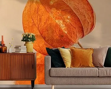 Oranje uit de natuur Zamów teraz