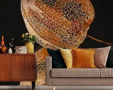 Vergankelijk en fragiel: Een lampionnetje van een lampionplant Zwrot pieniędzy