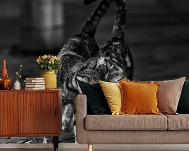 Zonder titel Darmowa dostawa