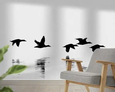 Promocja Eiders - Iceland