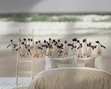 Najlepsza cena Desembarco