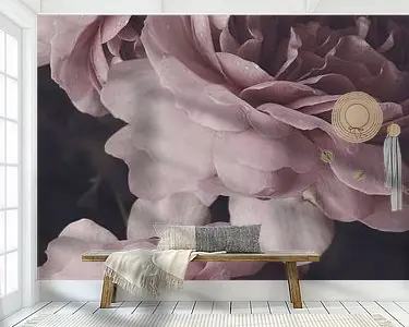 Popularny Rosa Alexandra van Kent