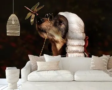 Meneer Teckel Oryginalny