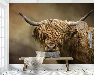 Schotse Hooglander Portret (gezien bij vtwonen) Nowość