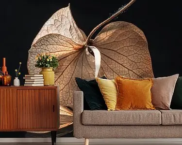 Vierkant met \\ Niska cena