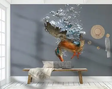 Niska cena IJsvogel - National Geographic winner!! Vrouwtjes ijsvogel in actie!