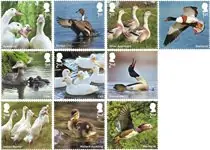 Tylko dziś Engeland - Eenden - Postfrisse serie van 10