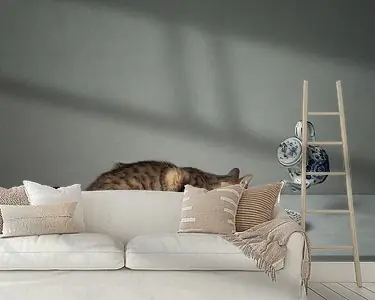 Dutch milk (gezien bij interieurtalent gezocht met vtwonen) Darmowa dostawa