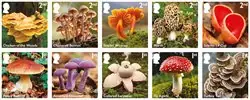Engeland - Paddestoelen - Postfrisse serie van 10 Wysoka jakość