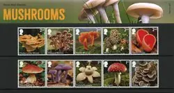 Engeland - Paddestoelen - Presentatie pakket Oryginalny