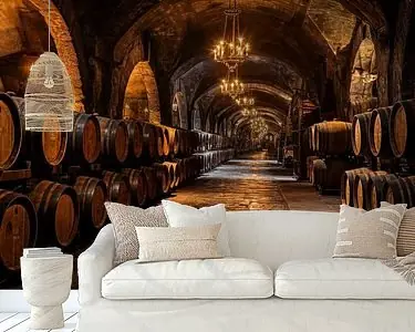 Oryginalny Verlaten wijnkelder