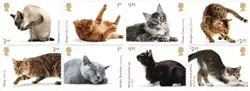 Engeland 2022 - Cats - Postfrisse serie van 8 Wysoka jakość
