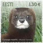 Szybka dostawa Estland - Mink - Postfrisse postzegel