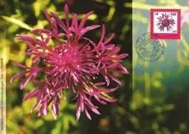 Estland 2007 - FDC - LAPE 589 Najlepsza cena