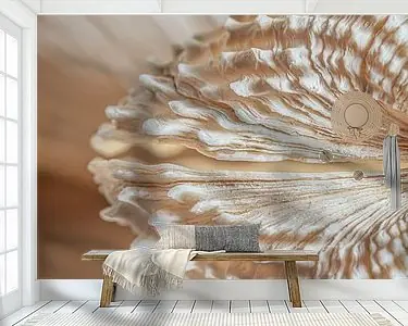 De lijnen van een schelp Ostatnia szansa