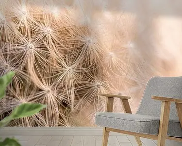 Paardenbloem pluisjes in warm licht Darmowa dostawa