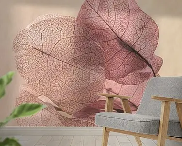 Fragiel samen: Twee blaadjes van de Bougainvillea Zamów teraz