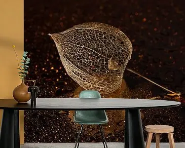 Kup teraz Het vergeten lampionnetje