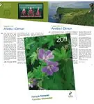 Faroer Islands jaarboek 2011 Darmowa dostawa