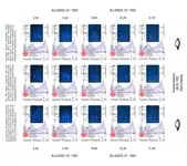 Oferta limitowana Finland 1992 - Michel 1175/1177 - Postfris