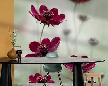 Autentyczny Kosmos slingert