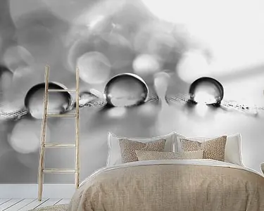 Black and white drops Premium